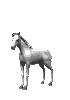 cheval5